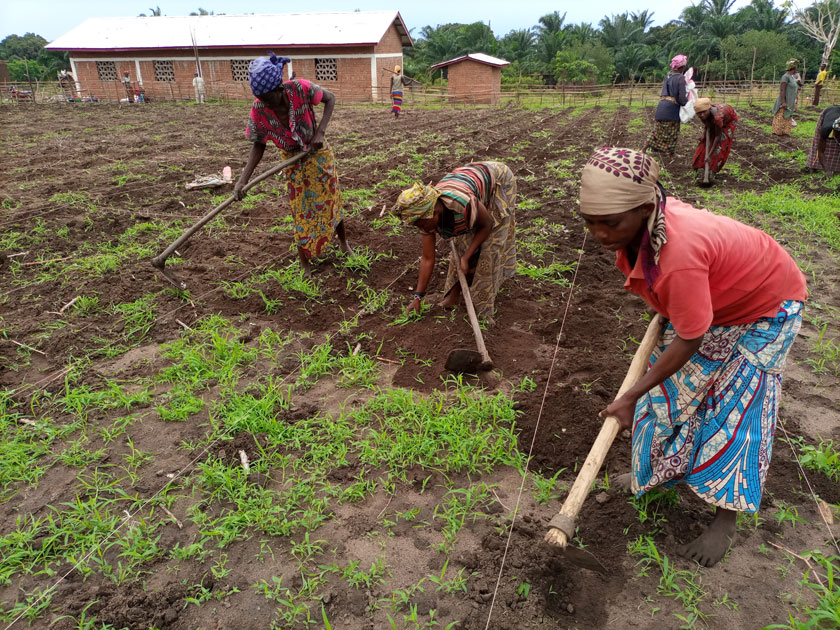 Sensibilisation sur les   bonnes pratiques agricoles, la conservation de la biodiversité et Appui en semences agricoles vivrières à 40 femmes vulnérables de Kigongo/Uvira pour la lutte contre la faim